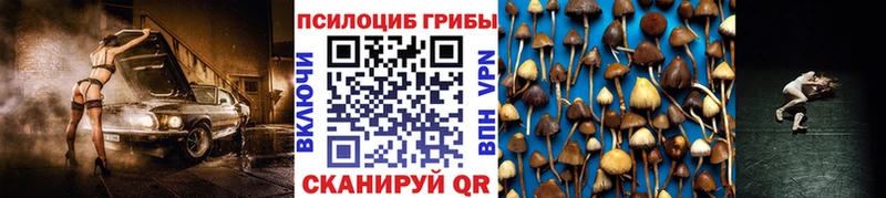Галлюциногенные грибы Cubensis  Купить  Усть-Джегута 